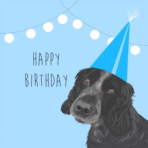 B26 Blue Happy Birthday Spaniel